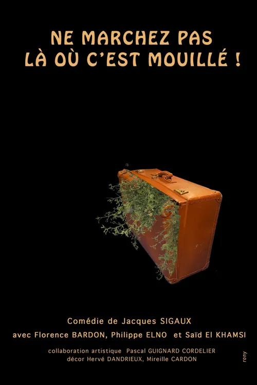 Affiche de Ne marchez pas là où c'est mouillé !