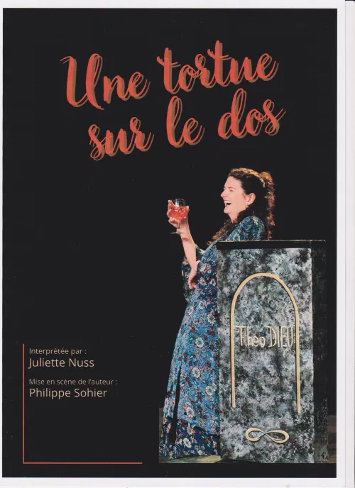Affiche de Une tortue sur le dos