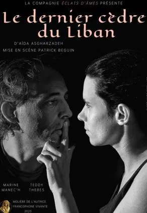Affiche de Le dernier cèdre du Liban