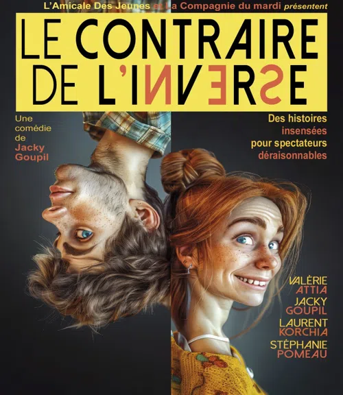 Affiche de Le contraire de l'inverse