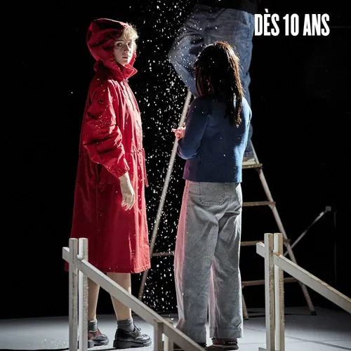 Affiche de Boule de neige