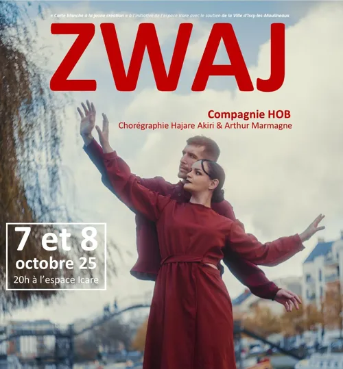 Affiche de Zwaj