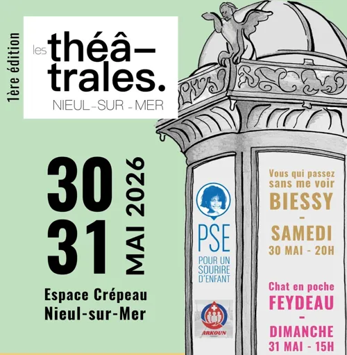 Affiche de Chat en poche