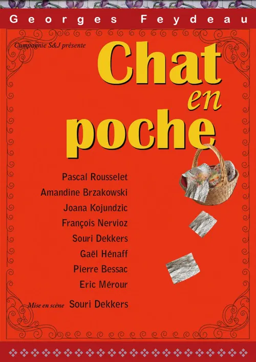 Affiche de Chat en poche