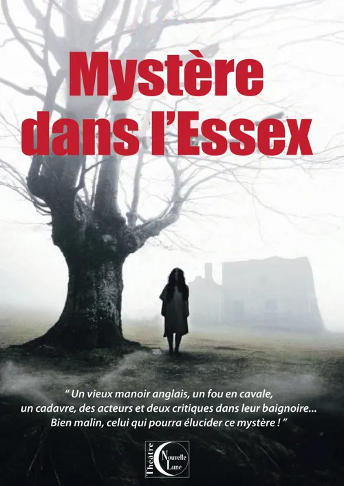 Affiche de Mystère dans l'Essex