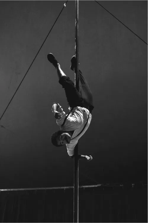 Photo 2 de Quabaret en cirQuit