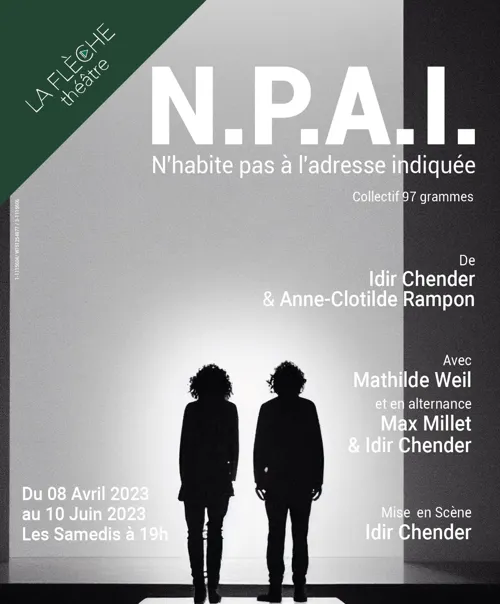 Affiche de N.P.A.I.