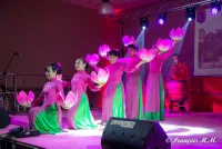 Danses populaires du Vietnam - 