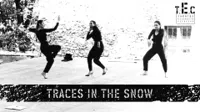 Traces in the snow - 