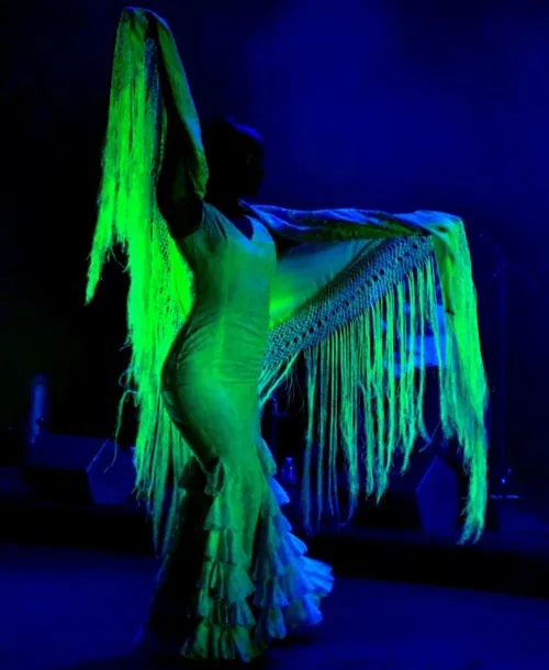 AL ANDALUS FLAMENCO NUEVO