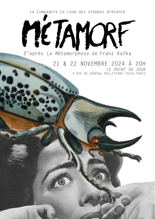 Affiche de Métamorf