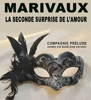 Affiche de La seconde surprise de l'amour