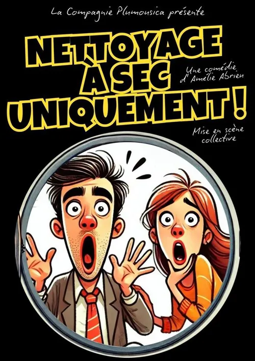 Affiche de Nettoyage à sec uniquement !
