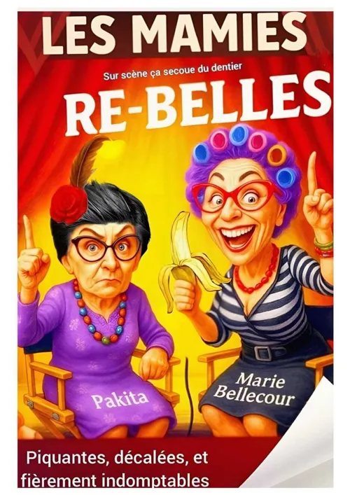 Affiche de Les mamies re-belles