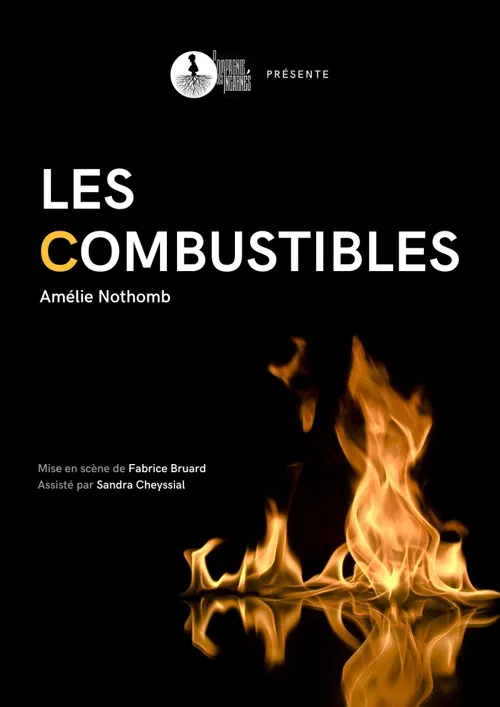 Photo 2 de Les Combustibles