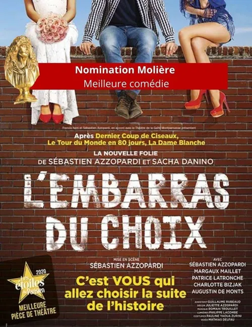 Affiche de L'embarras du choix