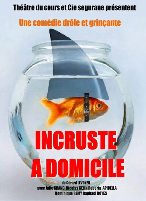 Affiche de Incruste à domicile