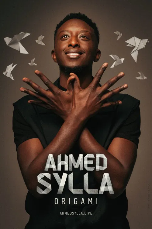 Affiche de Ahmed Sylla dans Origami