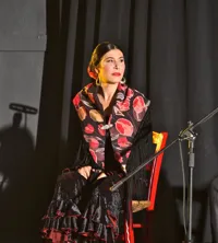 Primavera Flamenca - 