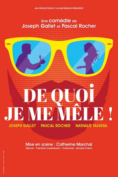Affiche de De quoi je me mêle !