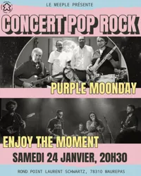 Concert Pop Rock au Meeple - 