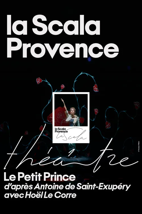 Affiche de Le petit prince