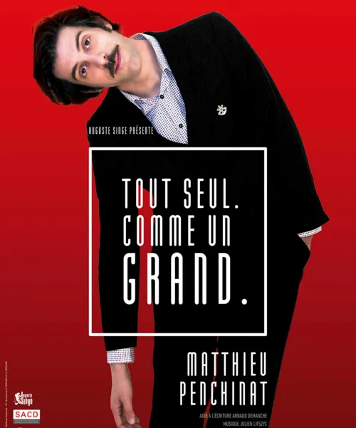 Affiche de Matthieu Penchinat dans Tout seul comme un grand