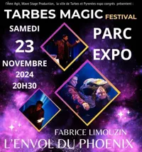 Fabrice Limouzin dans L'Envol du Phoenix - 