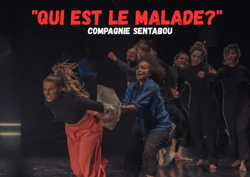 Affiche de Qui est le malade ?