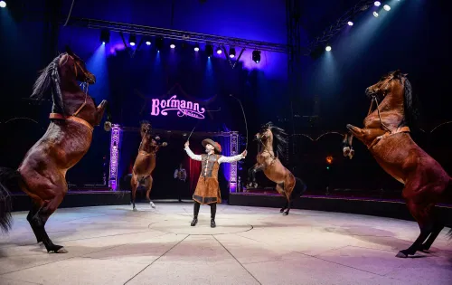 Photo 3 de Cirque Bormann dans Voyage dans le temps