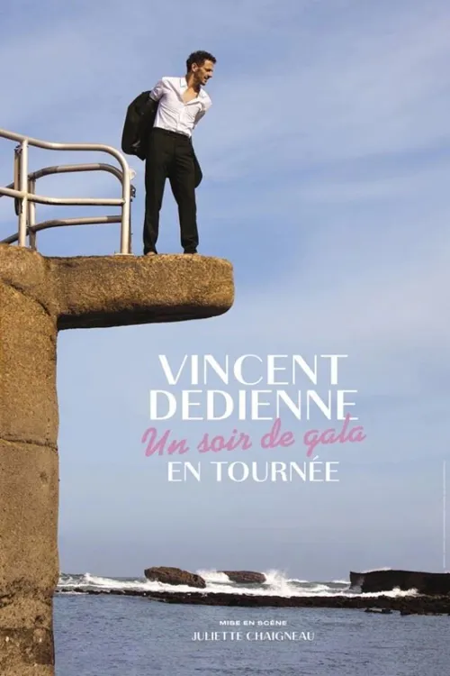 Affiche de Vincent Dedienne dans Un soir de Gala