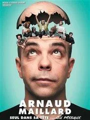 Affiche de Arnaud Maillard