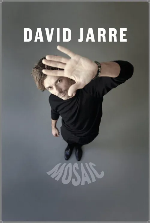 Affiche de David Jarre dans Mosaic