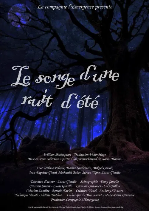 Affiche de Le songe d'une nuit d'été