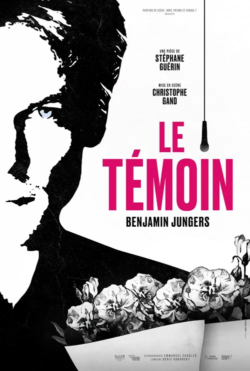 Affiche de Le Témoin