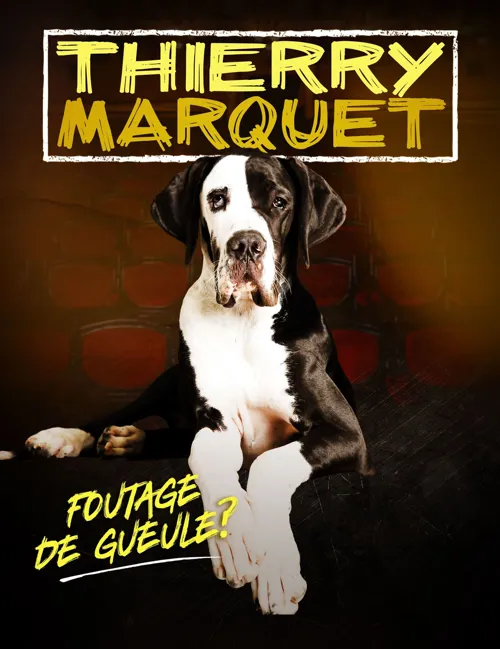 Affiche de Thierry Marquet dans Foutage de gueule ?