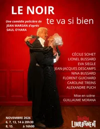 Affiche de Le noir te va si bien