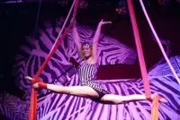 Cabaret cirque russe | Dîner-spectacle - 
