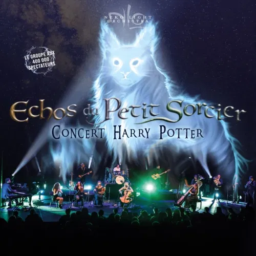 Affiche de Echos du petit sorcier | Joué lès Tours