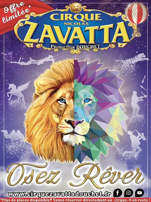 Affiche de Cirque Nicolas Zavatta Douchet | Rambouillet