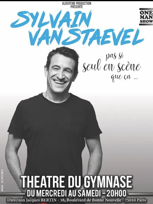 Affiche de Sylvain Vanstaevel dans Seul(s) en scène