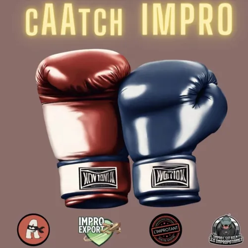 Affiche de Tournoi de catch d'improvisation théâtrale : Acides Animés & Friends