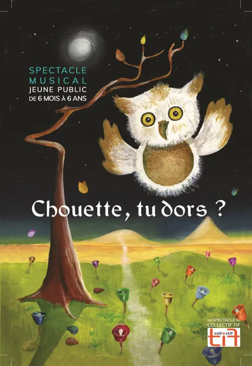 Affiche de Chouette, tu dors ?
