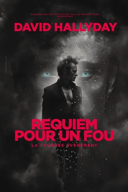 Affiche de David Hallyday : Requiem pour un fou | Amnéville