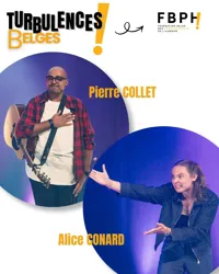 Affiche de Les turbulences belges