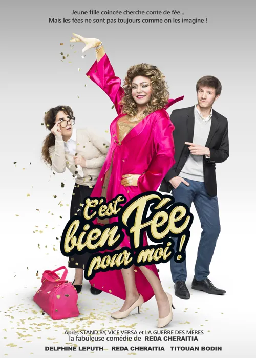 Affiche de C'est bien fée pour moi !