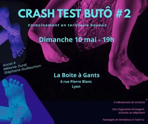 Affiche de Crash test buto #2