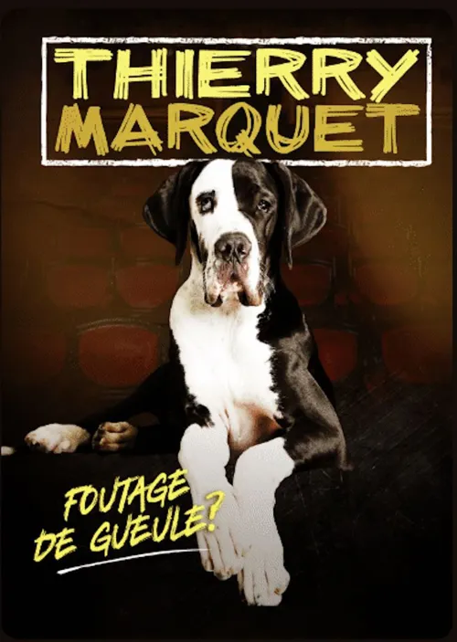 Affiche de Thierry Marquet dans Foutage de gueule ?