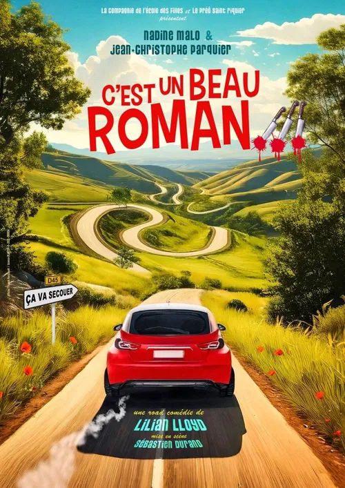 Affiche de C'est un beau roman