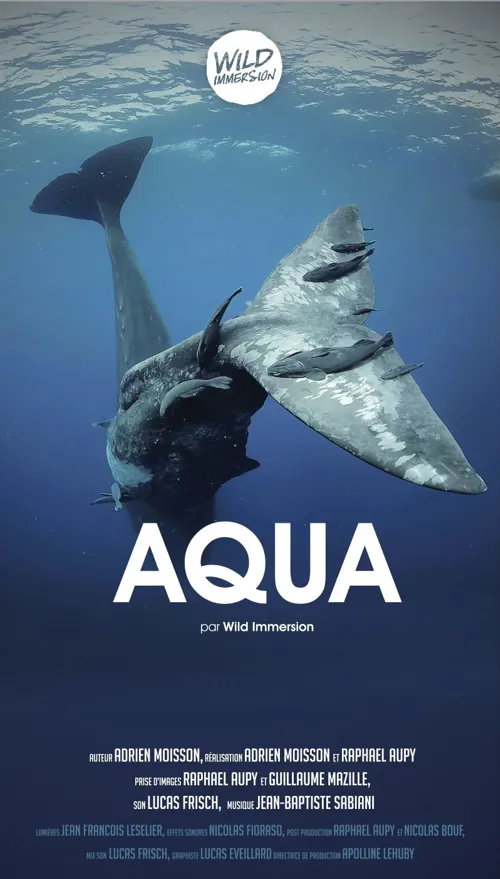 Affiche de Wild Immersion : Une expérience immersive unique de réalité virtuelle pour se connecter aux animaux en 360°